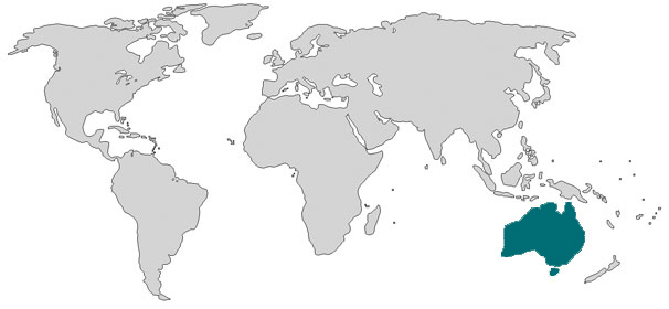 blue_globe